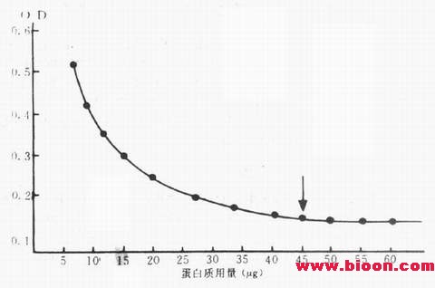 丁香实验推荐阅读