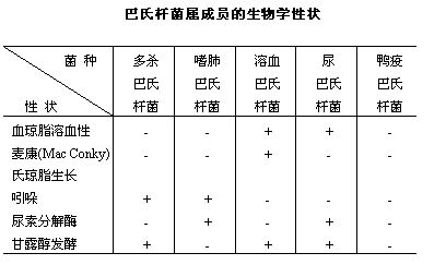 丁香实验推荐阅读