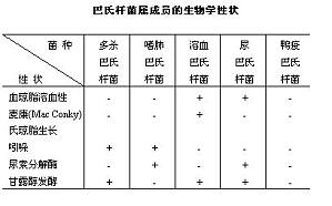 丁香实验推荐阅读