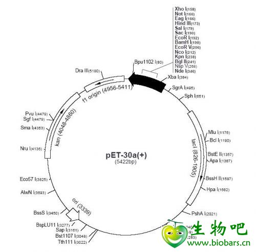 丁香实验推荐阅读