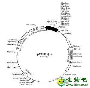 丁香实验推荐阅读