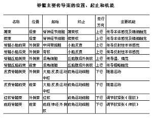 丁香实验推荐阅读