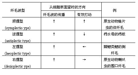 丁香实验推荐阅读
