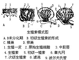 丁香实验推荐阅读