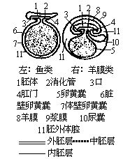 丁香实验推荐阅读