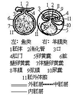 丁香实验推荐阅读