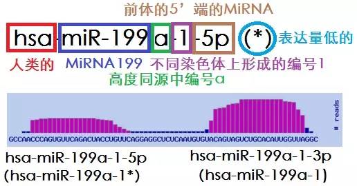 丁香实验推荐阅读