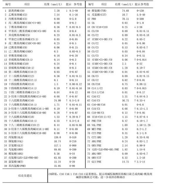 丁香实验推荐阅读