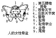 丁香实验推荐阅读