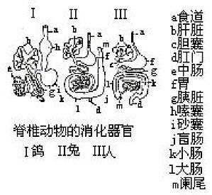 丁香实验推荐阅读