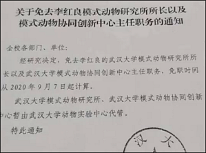 丁香实验推荐阅读