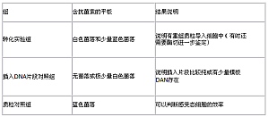 丁香实验推荐阅读