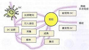 丁香实验推荐阅读