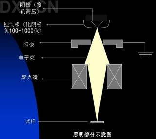 丁香实验推荐阅读