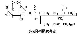 丁香实验推荐阅读