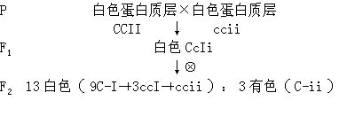 丁香实验推荐阅读