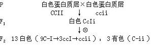 丁香实验推荐阅读