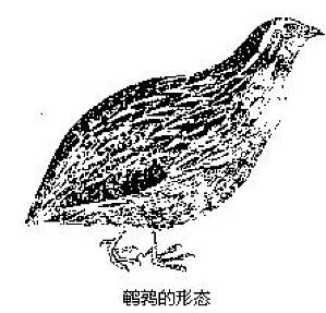 丁香实验推荐阅读