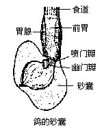 丁香实验推荐阅读