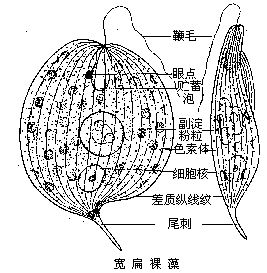 丁香实验推荐阅读