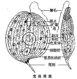 丁香实验推荐阅读