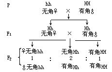 丁香实验推荐阅读