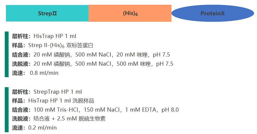 丁香实验推荐阅读