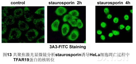 丁香实验推荐阅读