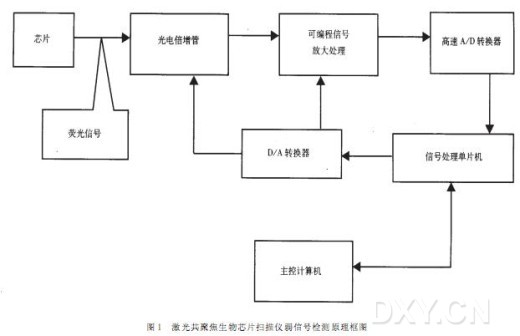 丁香实验推荐阅读