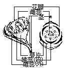 丁香实验推荐阅读