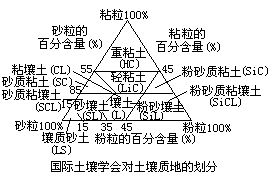 丁香实验推荐阅读