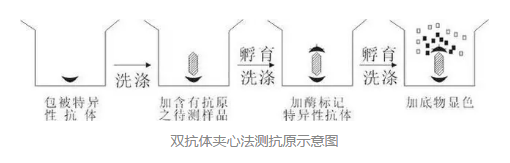 丁香实验推荐阅读