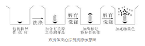 丁香实验推荐阅读