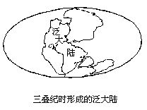 丁香实验推荐阅读