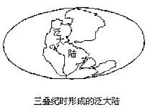 丁香实验推荐阅读