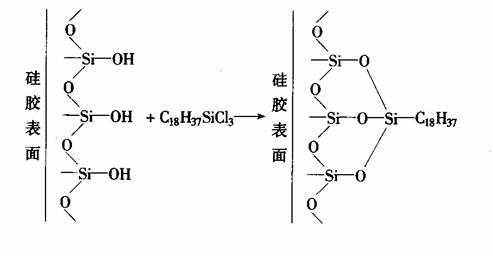 丁香实验推荐阅读