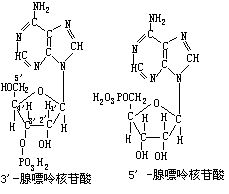 丁香实验推荐阅读