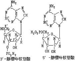 丁香实验推荐阅读
