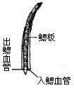 丁香实验推荐阅读