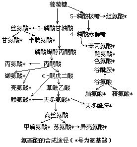 丁香实验推荐阅读