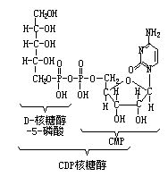 丁香实验推荐阅读