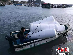 丁香实验推荐阅读