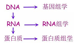 丁香实验推荐阅读