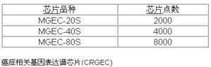 丁香实验推荐阅读
