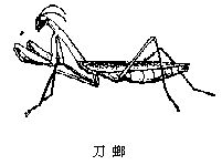 丁香实验推荐阅读