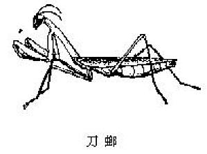 丁香实验推荐阅读