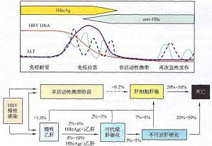 丁香实验推荐阅读