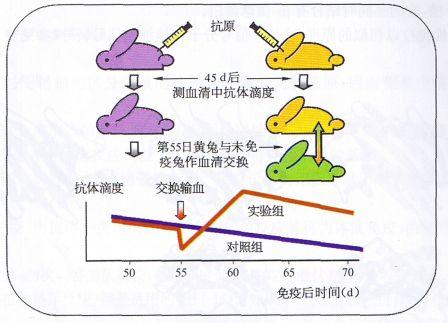 丁香实验推荐阅读