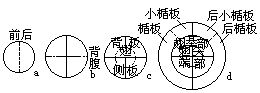 丁香实验推荐阅读