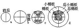 丁香实验推荐阅读